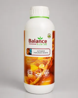 BALANCE ACTIV 500